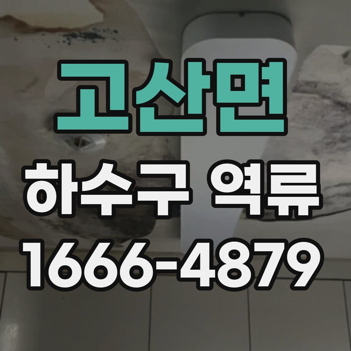 고산면 하수구 역류