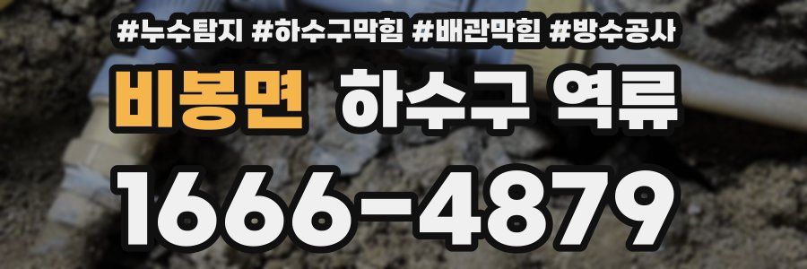 비봉면 하수구 역류