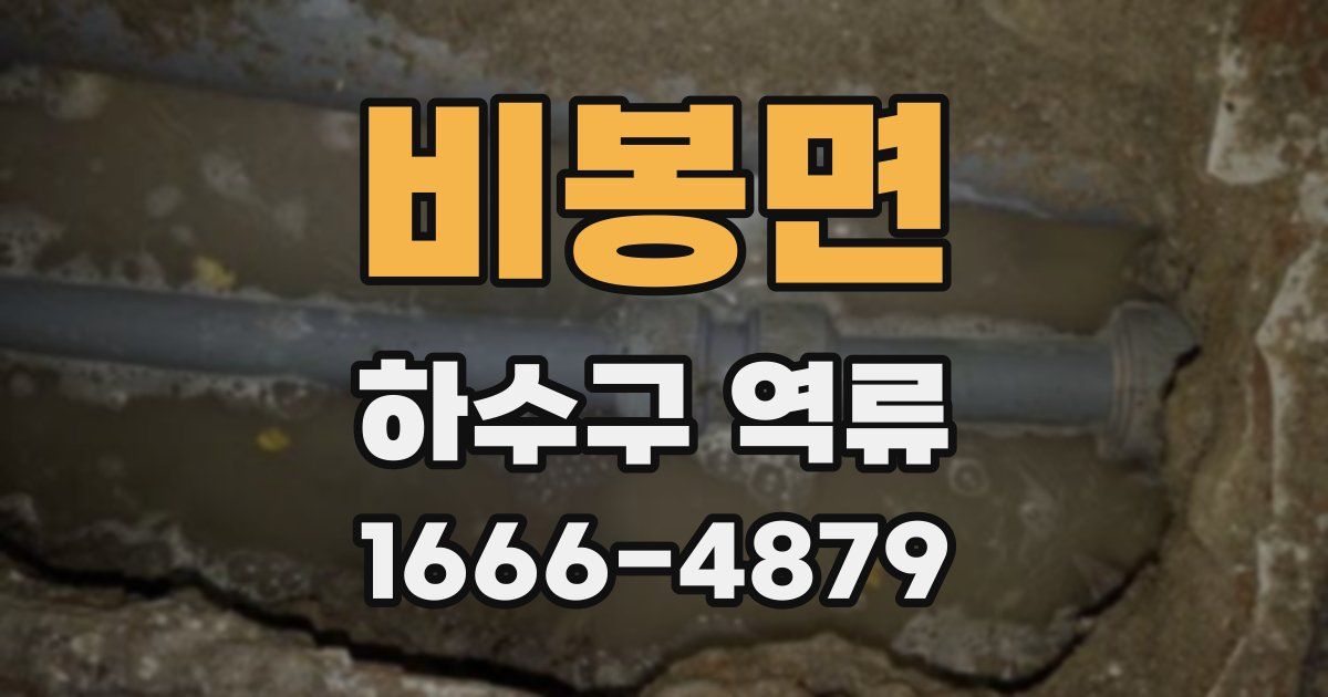 비봉면 하수구 역류