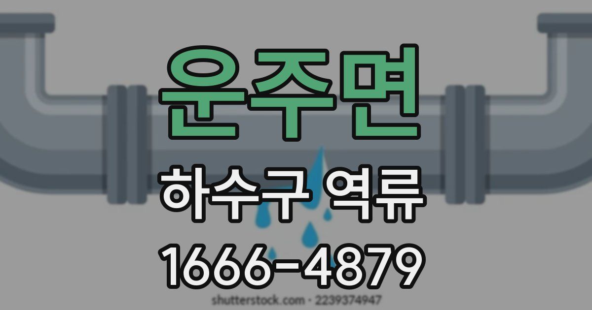 운주면 하수구 역류