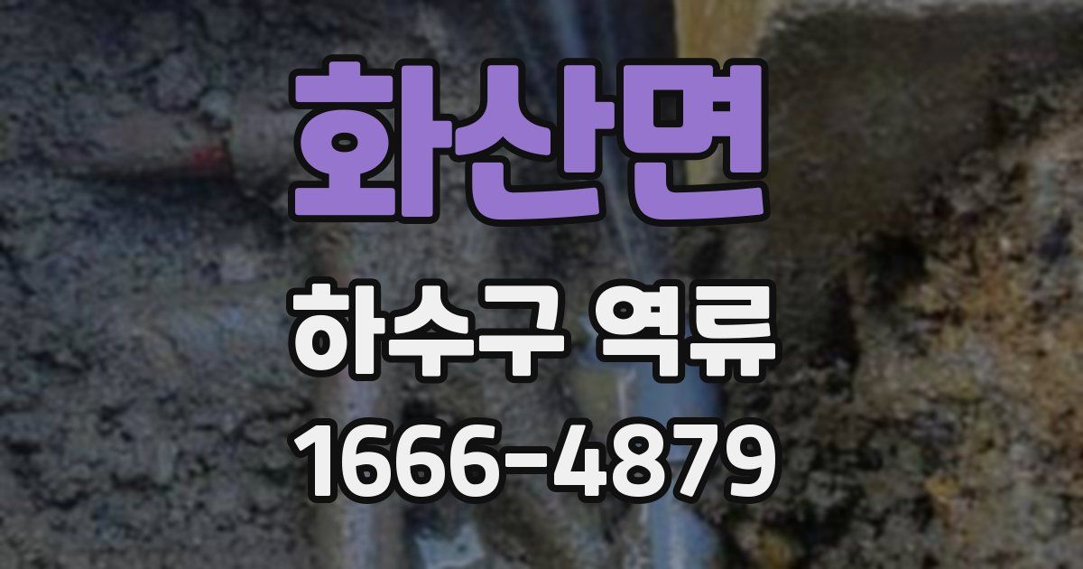 화산면 하수구 역류