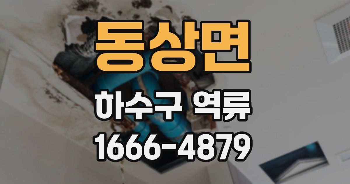 동상면 하수구 역류