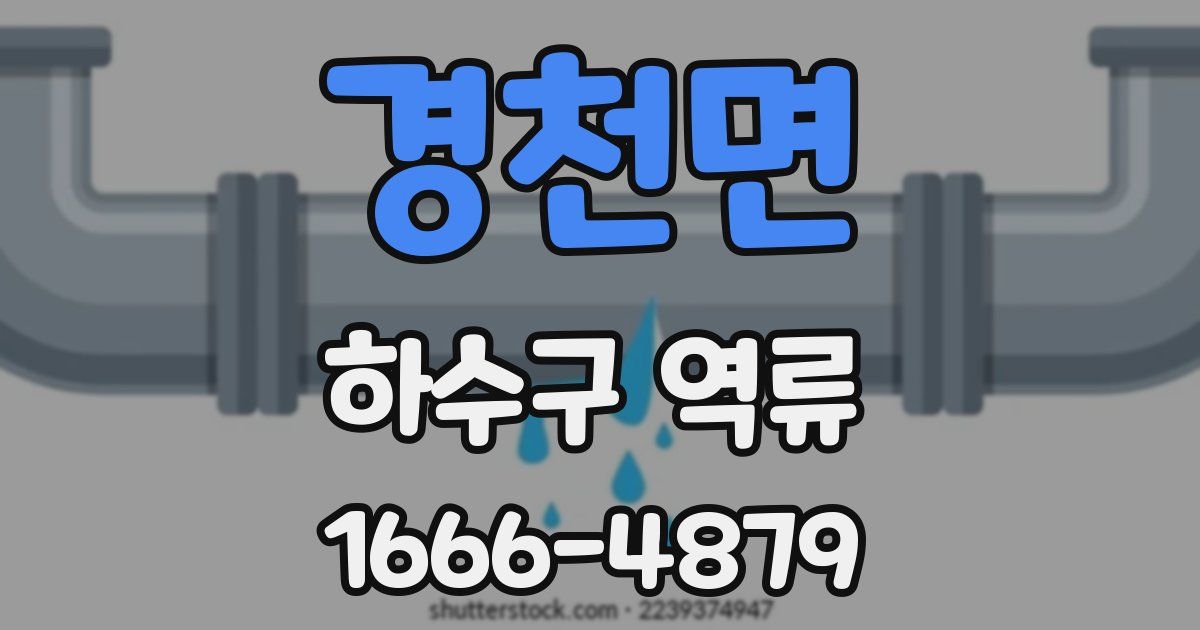 경천면 하수구 역류