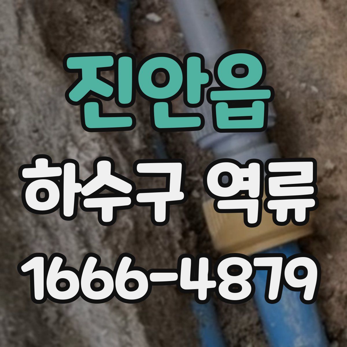 진안읍 하수구 역류