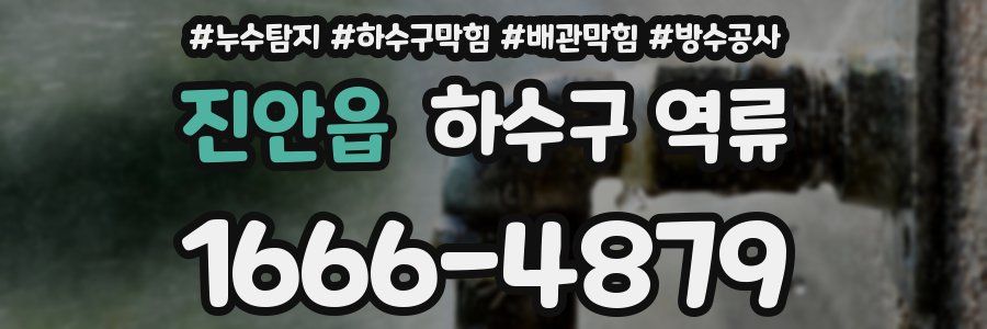 진안읍 하수구 역류