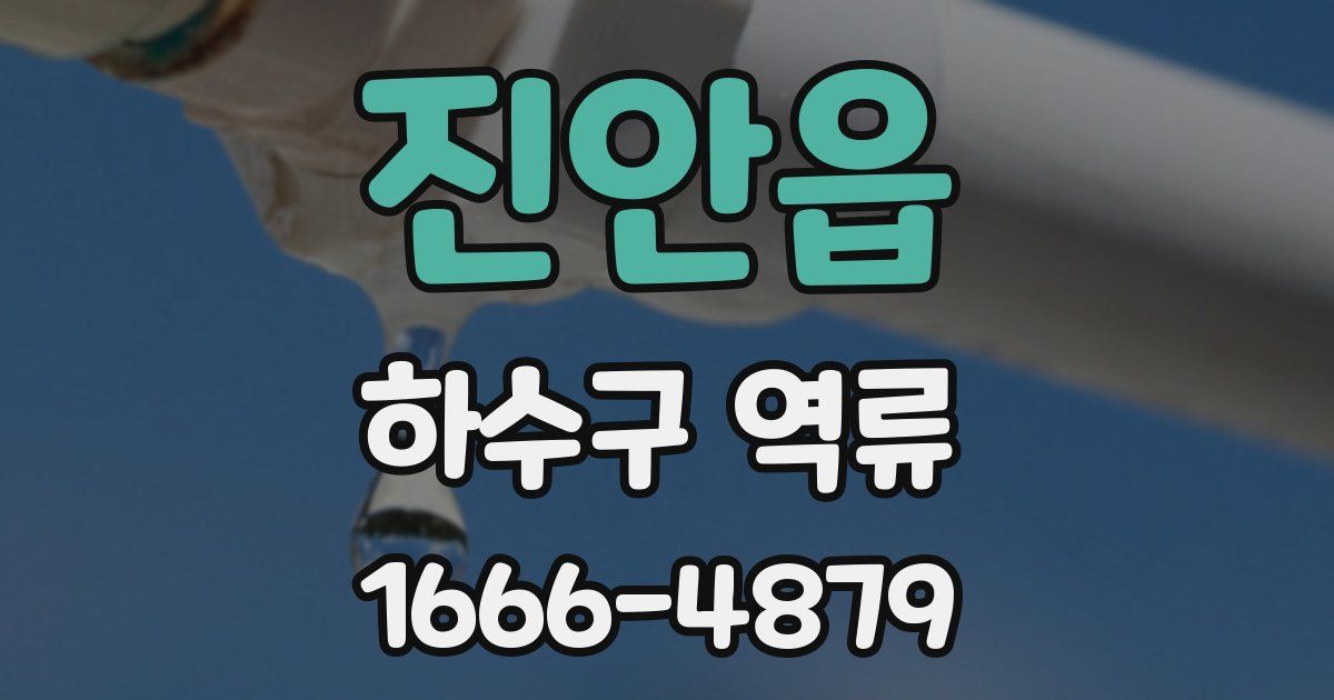 진안읍 하수구 역류