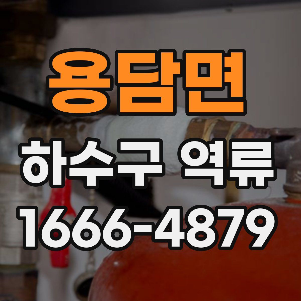 용담면 하수구 역류