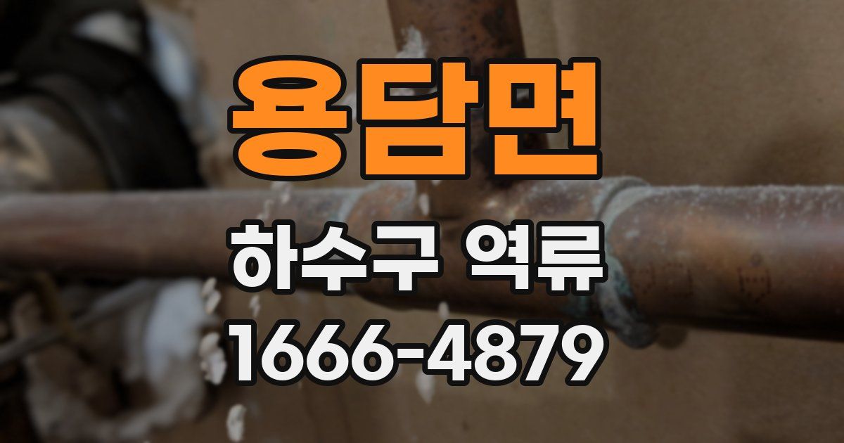용담면 하수구 역류