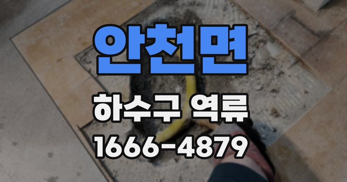 안천면 하수구 역류