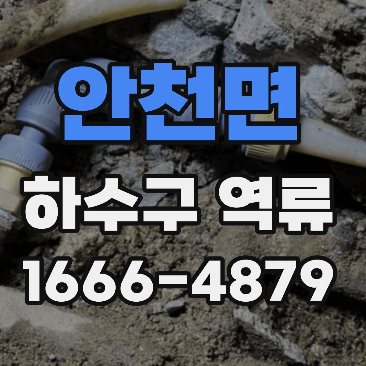 안천면 하수구 역류
