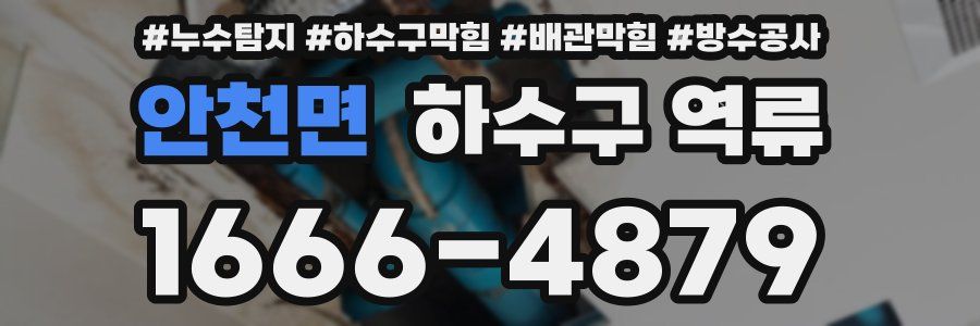 안천면 하수구 역류