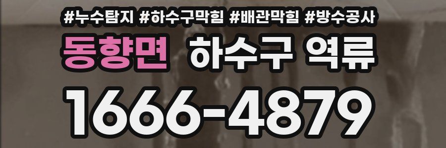 동향면 하수구 역류
