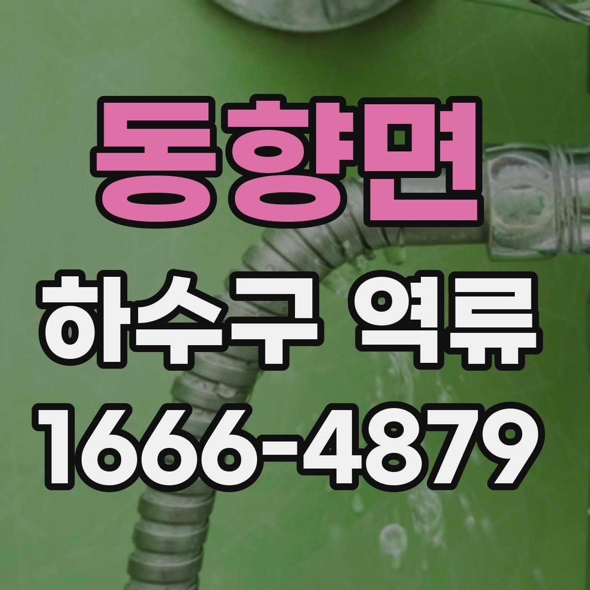 동향면 하수구 역류