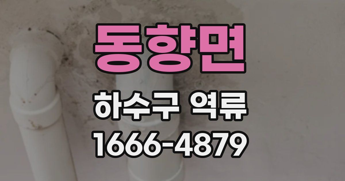 동향면 하수구 역류
