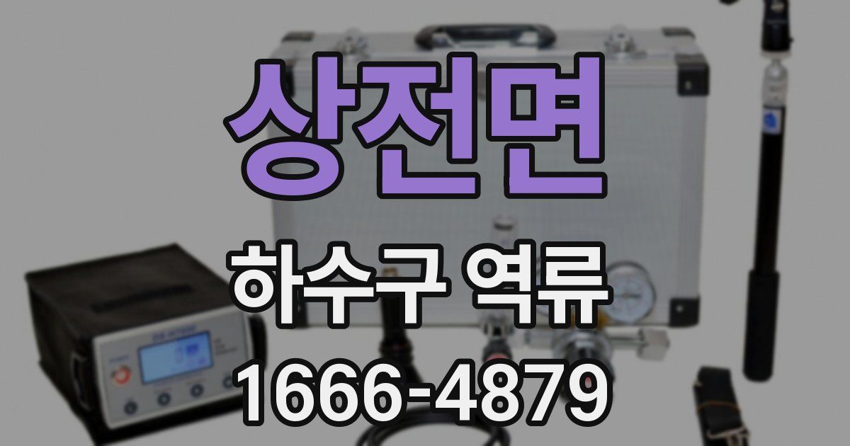 상전면 하수구 역류