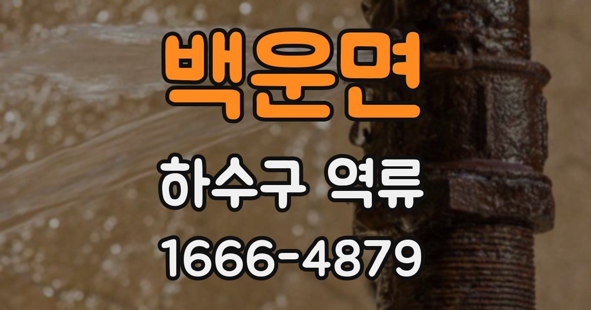 백운면 하수구 역류