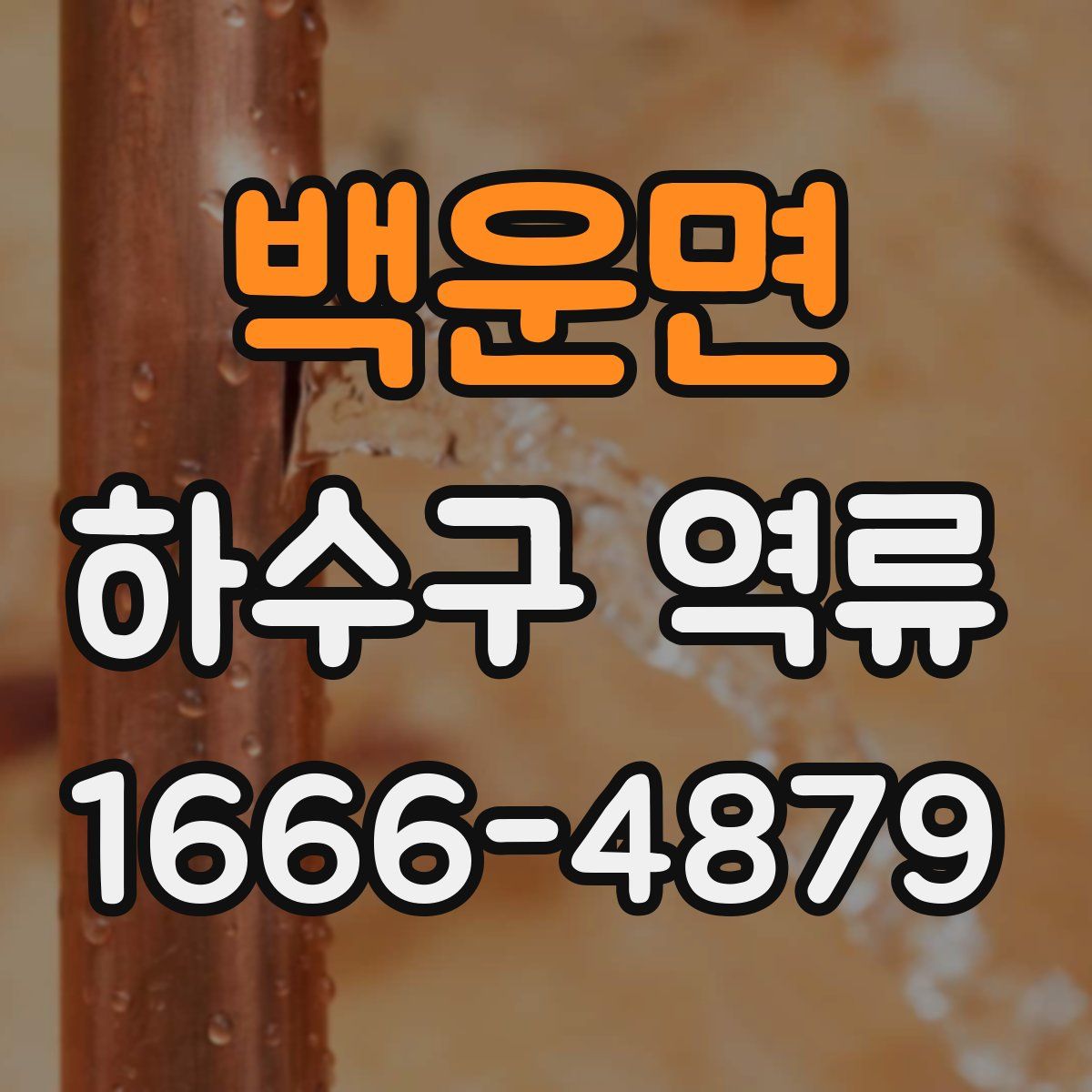 백운면 하수구 역류