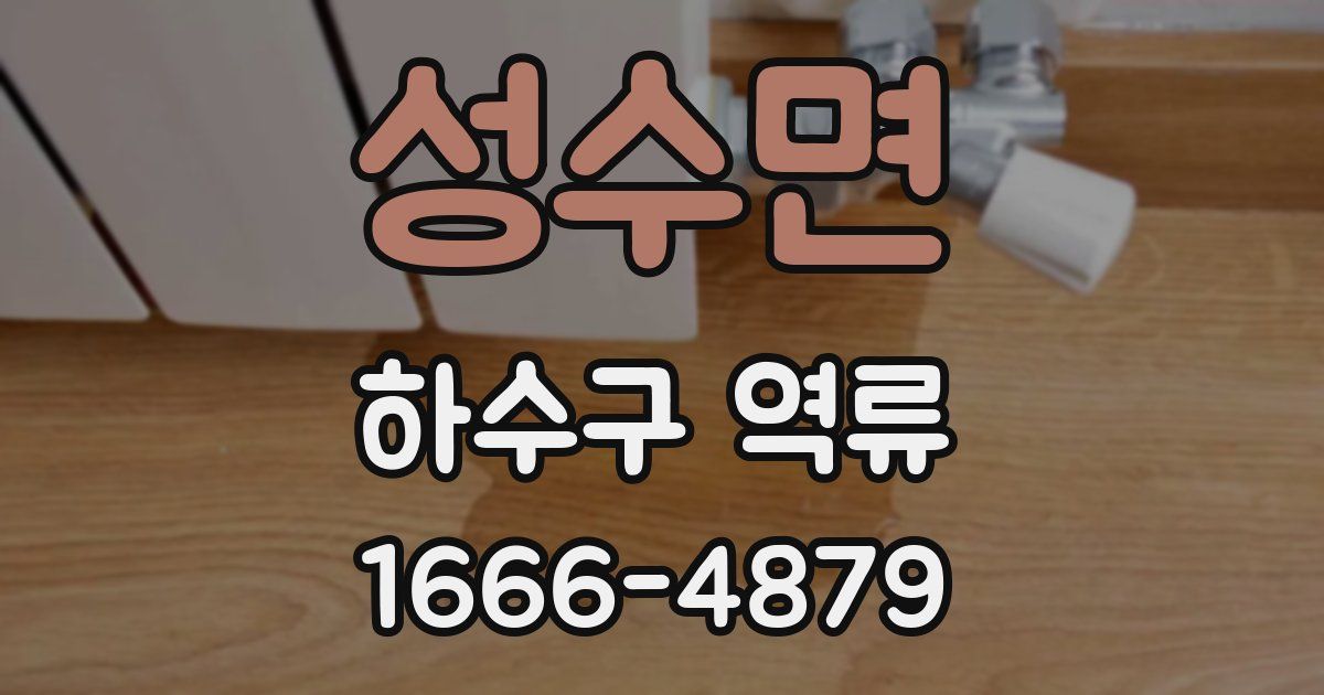 성수면 하수구 역류