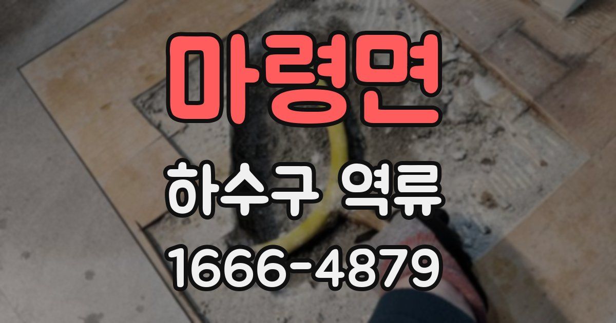 마령면 하수구 역류