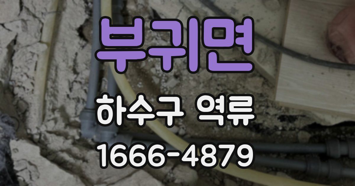 부귀면 하수구 역류