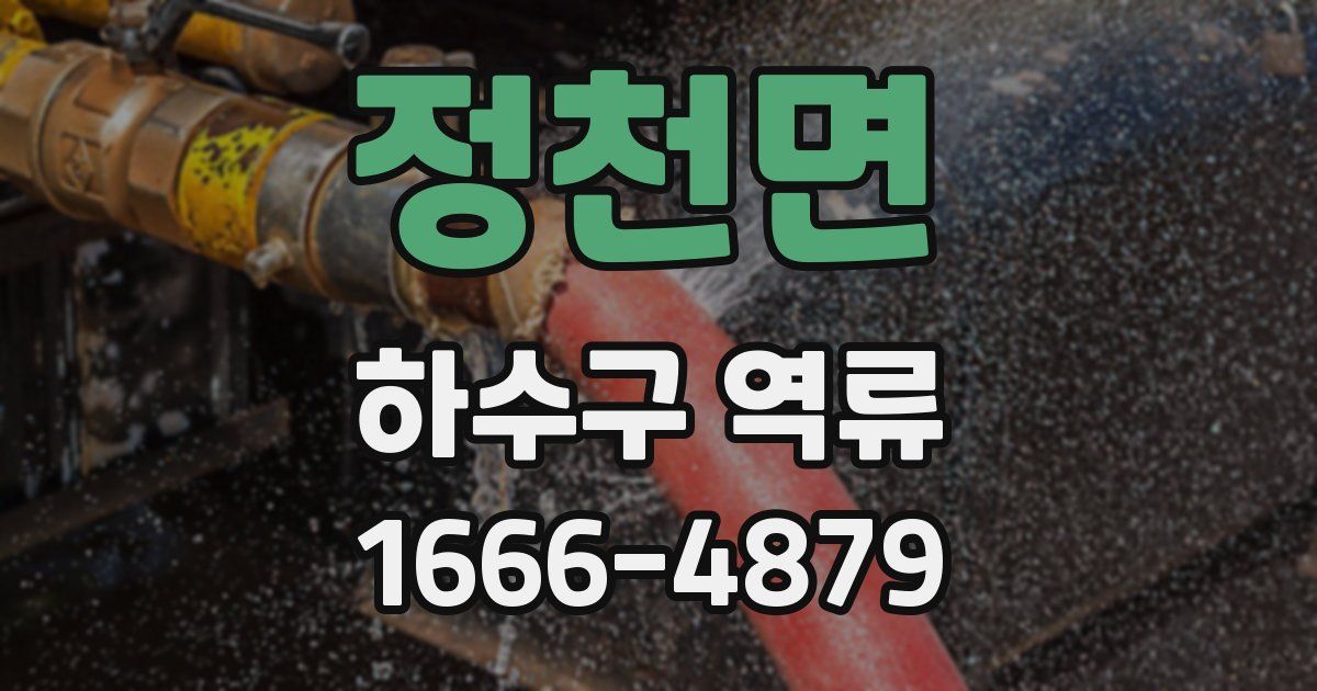 정천면 하수구 역류