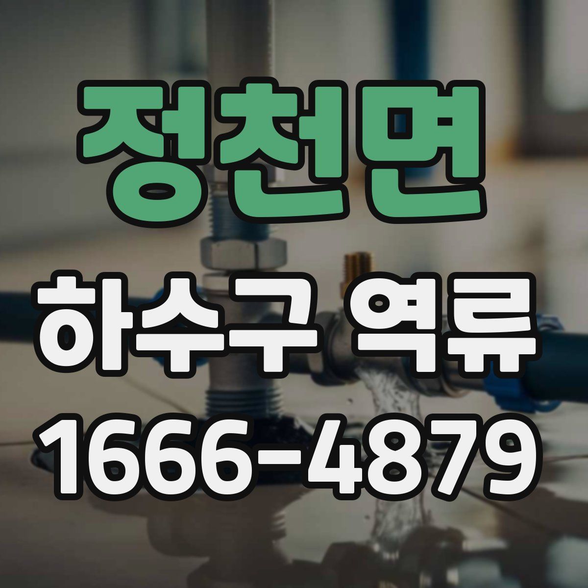 정천면 하수구 역류