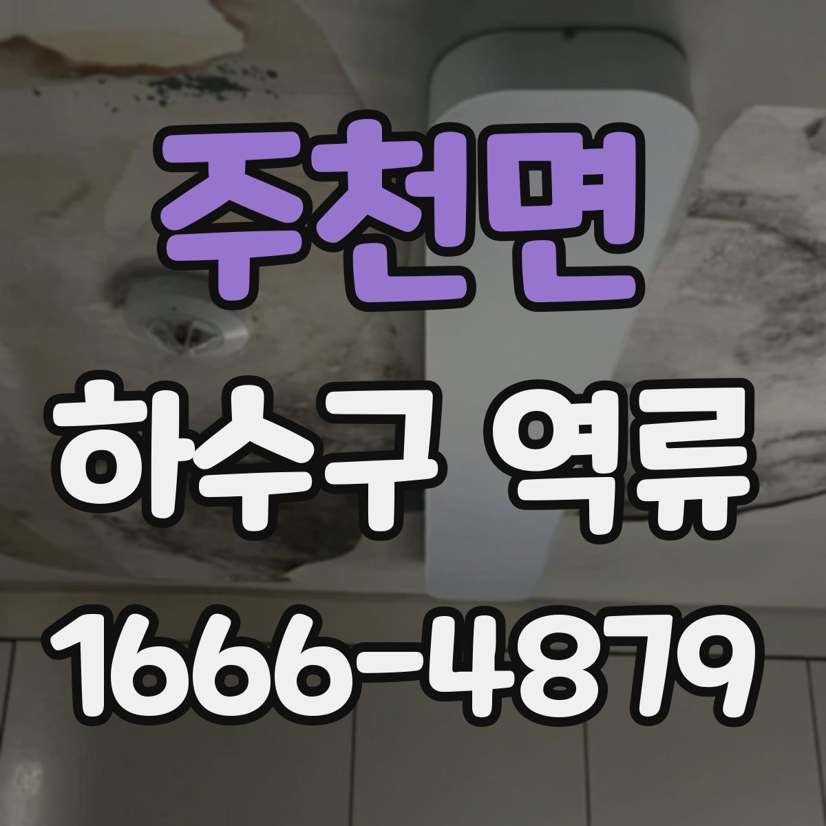 주천면 하수구 역류