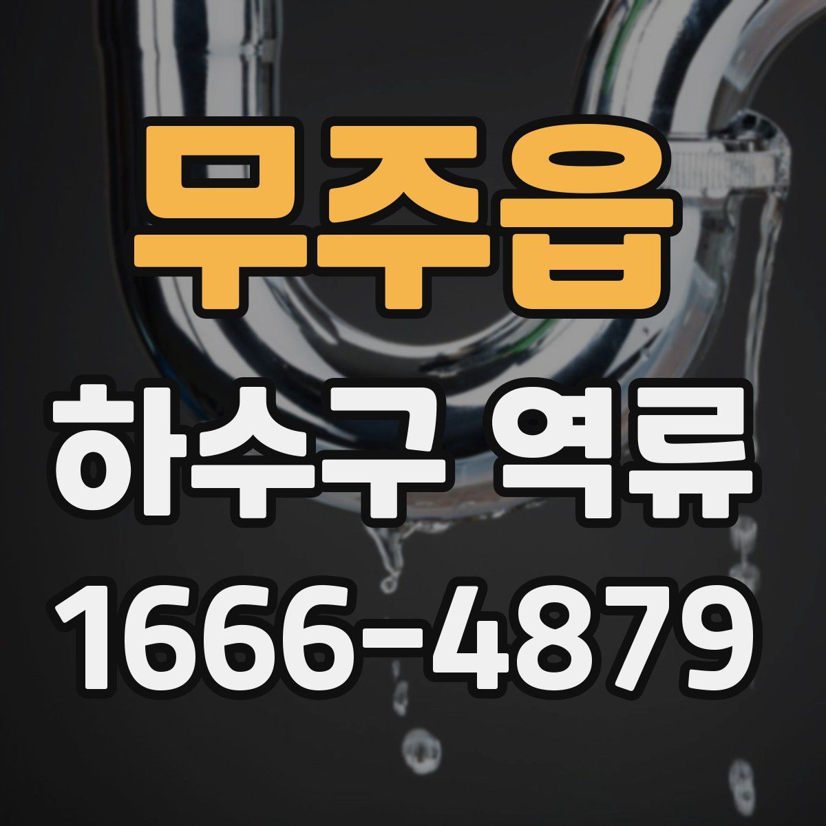 무주읍 하수구 역류