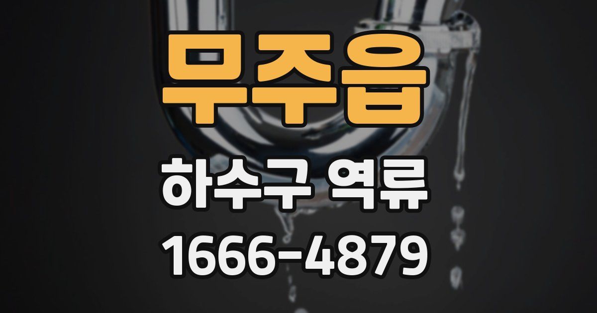 무주읍 하수구 역류