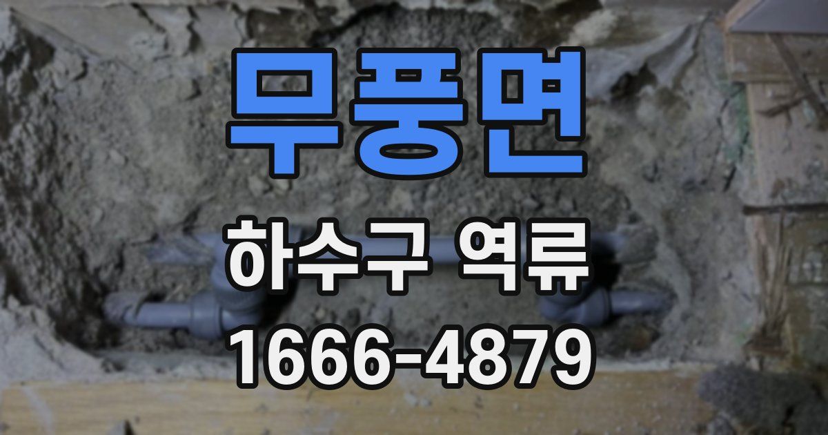 무풍면 하수구 역류