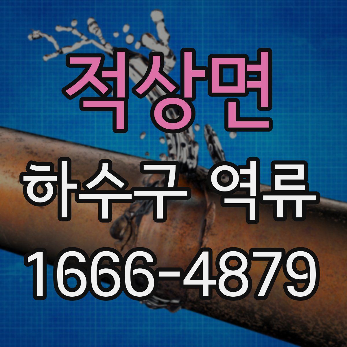 적상면 하수구 역류