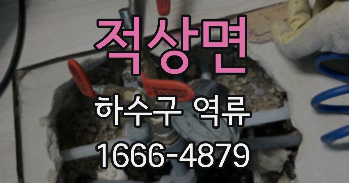 적상면 하수구 역류