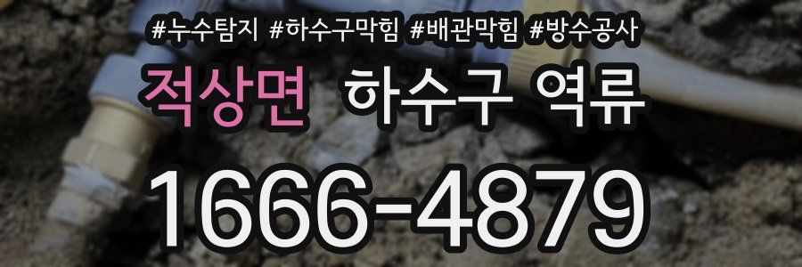 적상면 하수구 역류