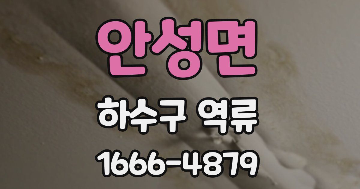 안성면 하수구 역류