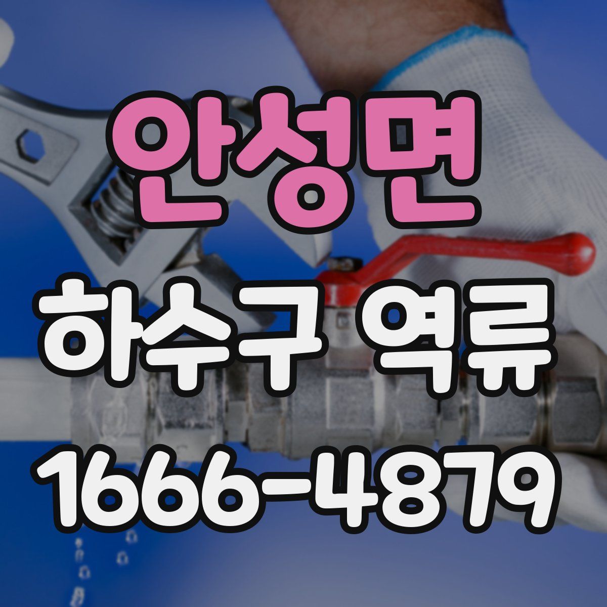 안성면 하수구 역류