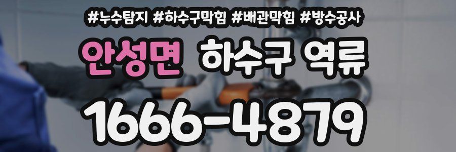 안성면 하수구 역류