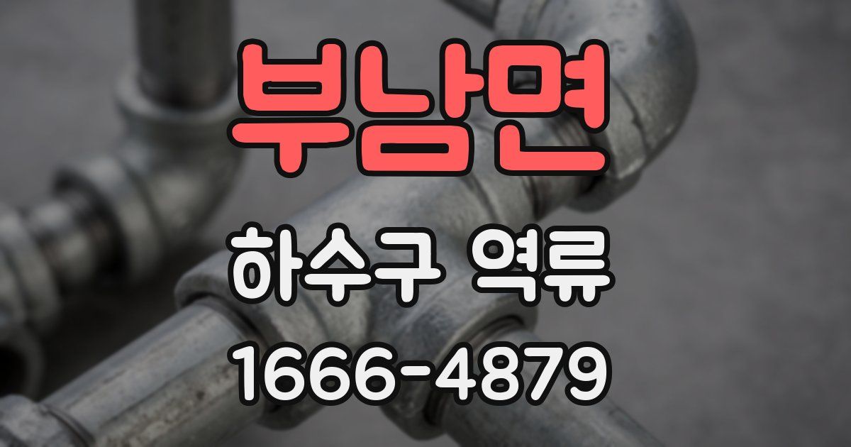 부남면 하수구 역류