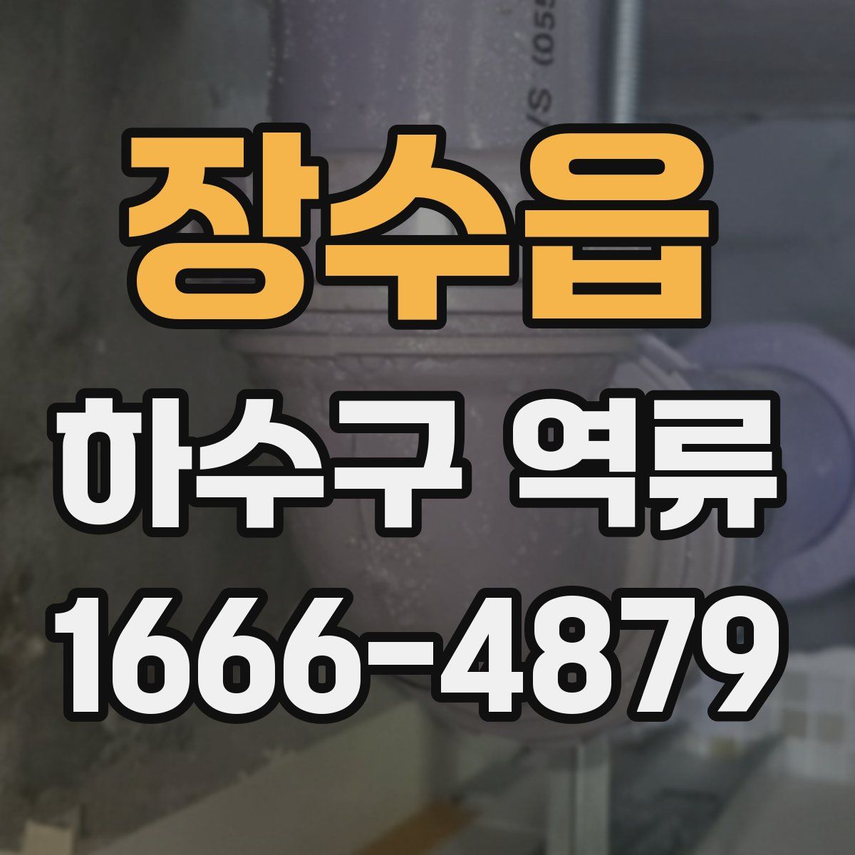 장수읍 하수구 역류