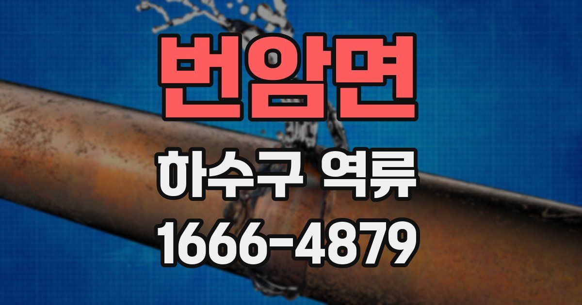 번암면 하수구 역류