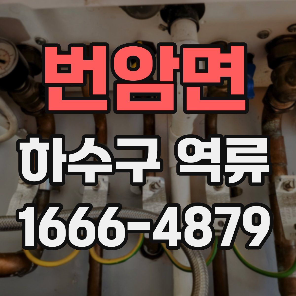 번암면 하수구 역류