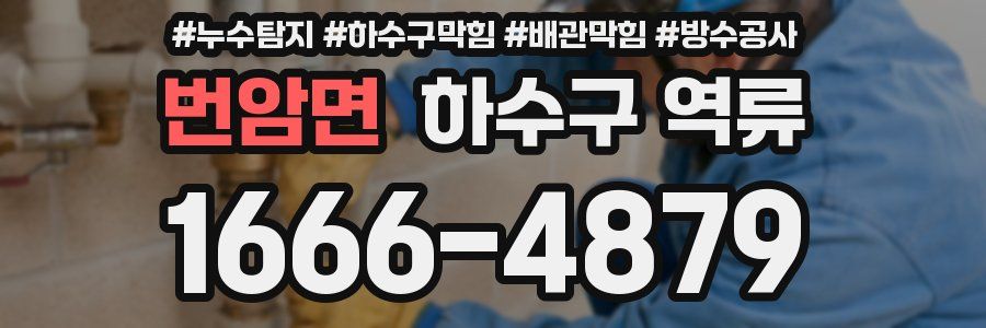 번암면 하수구 역류