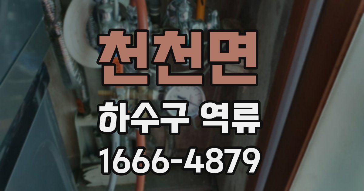 천천면 하수구 역류
