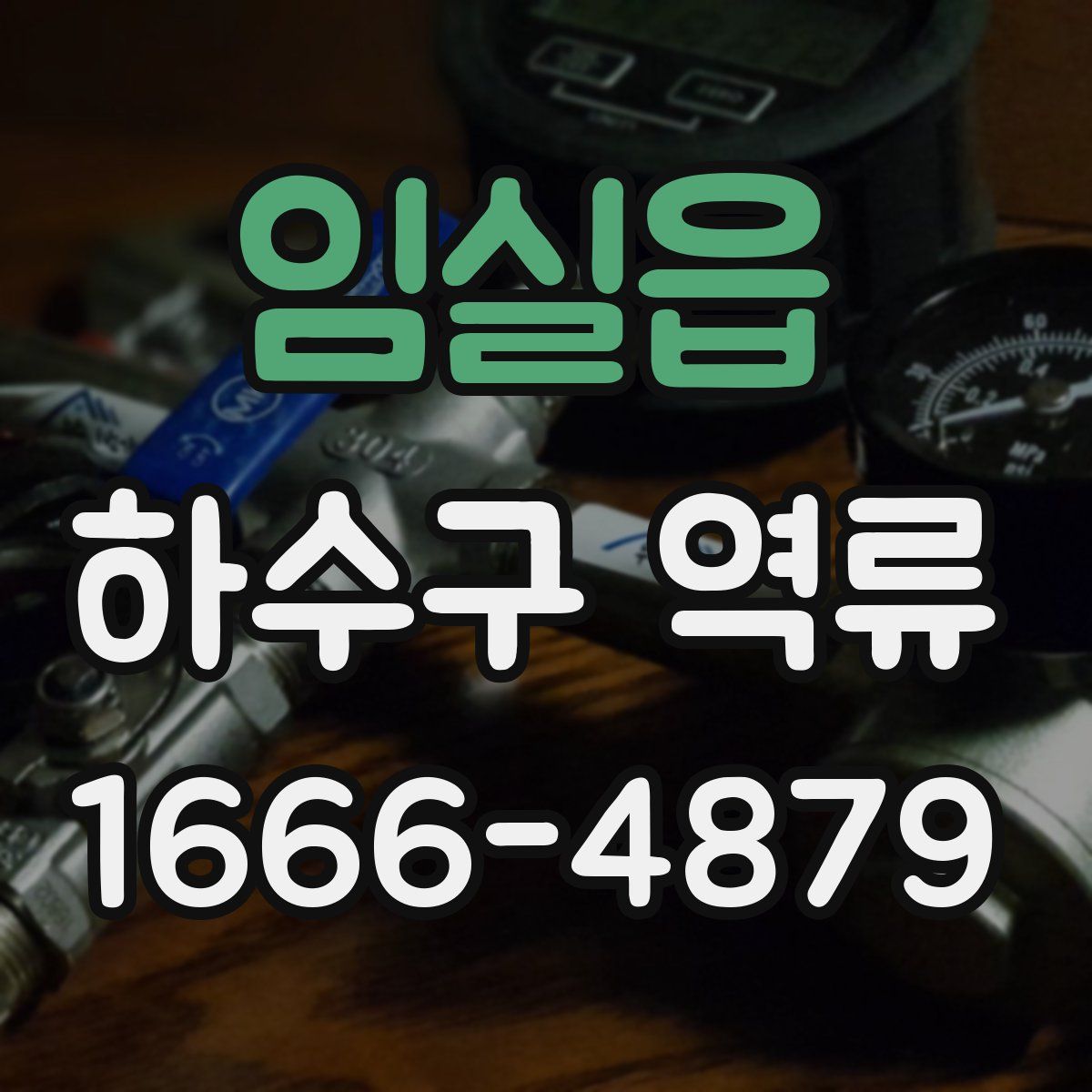 임실읍 하수구 역류