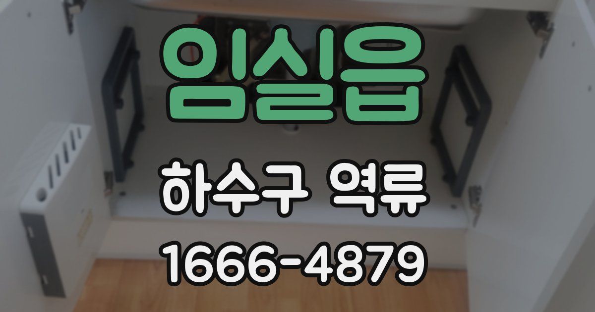 임실읍 하수구 역류