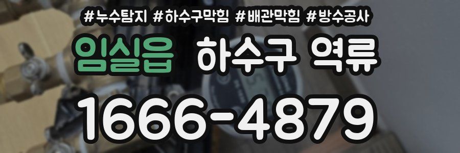 임실읍 하수구 역류
