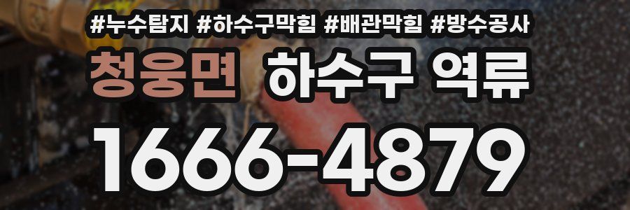 청웅면 하수구 역류