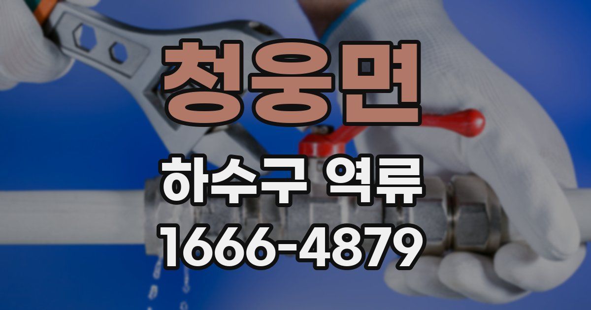 청웅면 하수구 역류