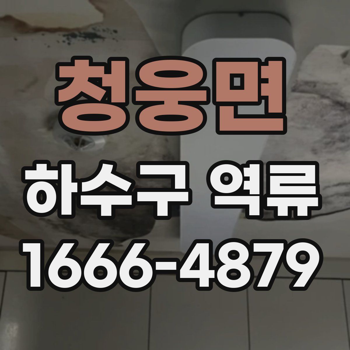 청웅면 하수구 역류