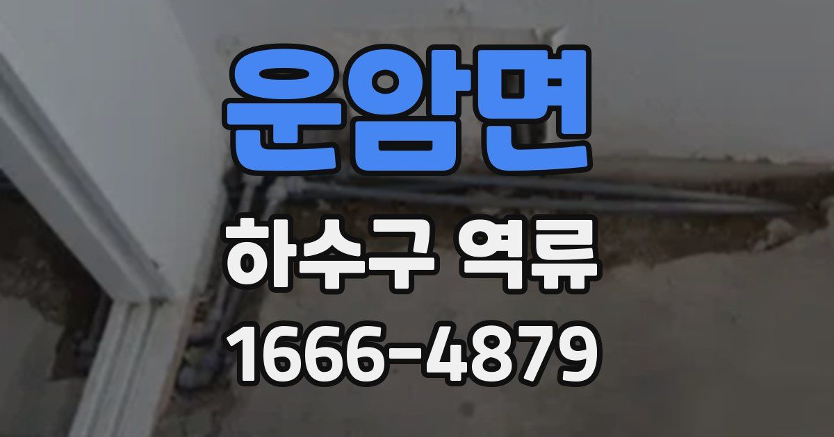 운암면 하수구 역류