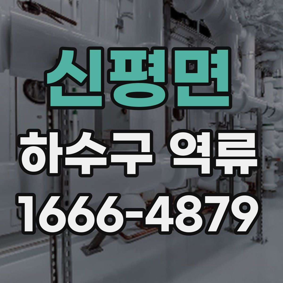 신평면 하수구 역류